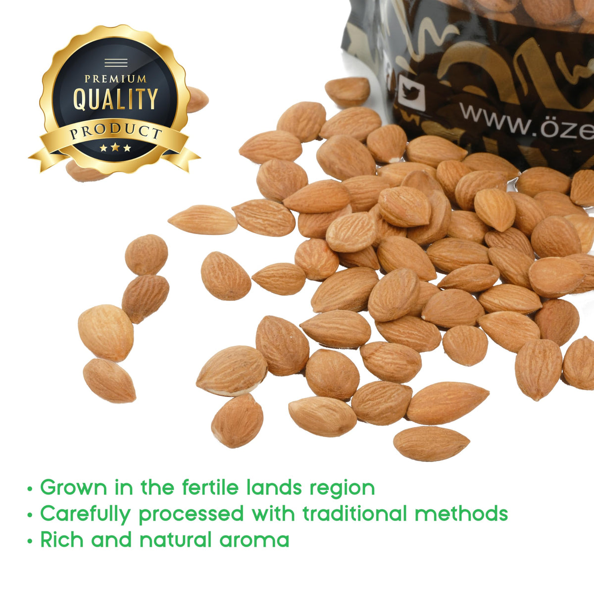 Dried bitter apricot kernels reveal earthy aroma and consistent size from OZ ERCIYES