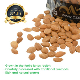 Dried bitter apricot kernels reveal earthy aroma and consistent size from OZ ERCIYES