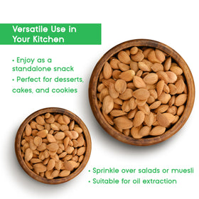 Farm-sourced apricot kernels from OZ ERCIYES illustrate ethical farming and quality