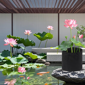OZIO pond-safe plant pot keeps pond life undisturbed near planted plants