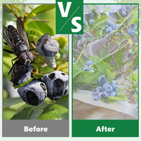 Netting lets rain and irrigation flow through OZMI while birds stay out.