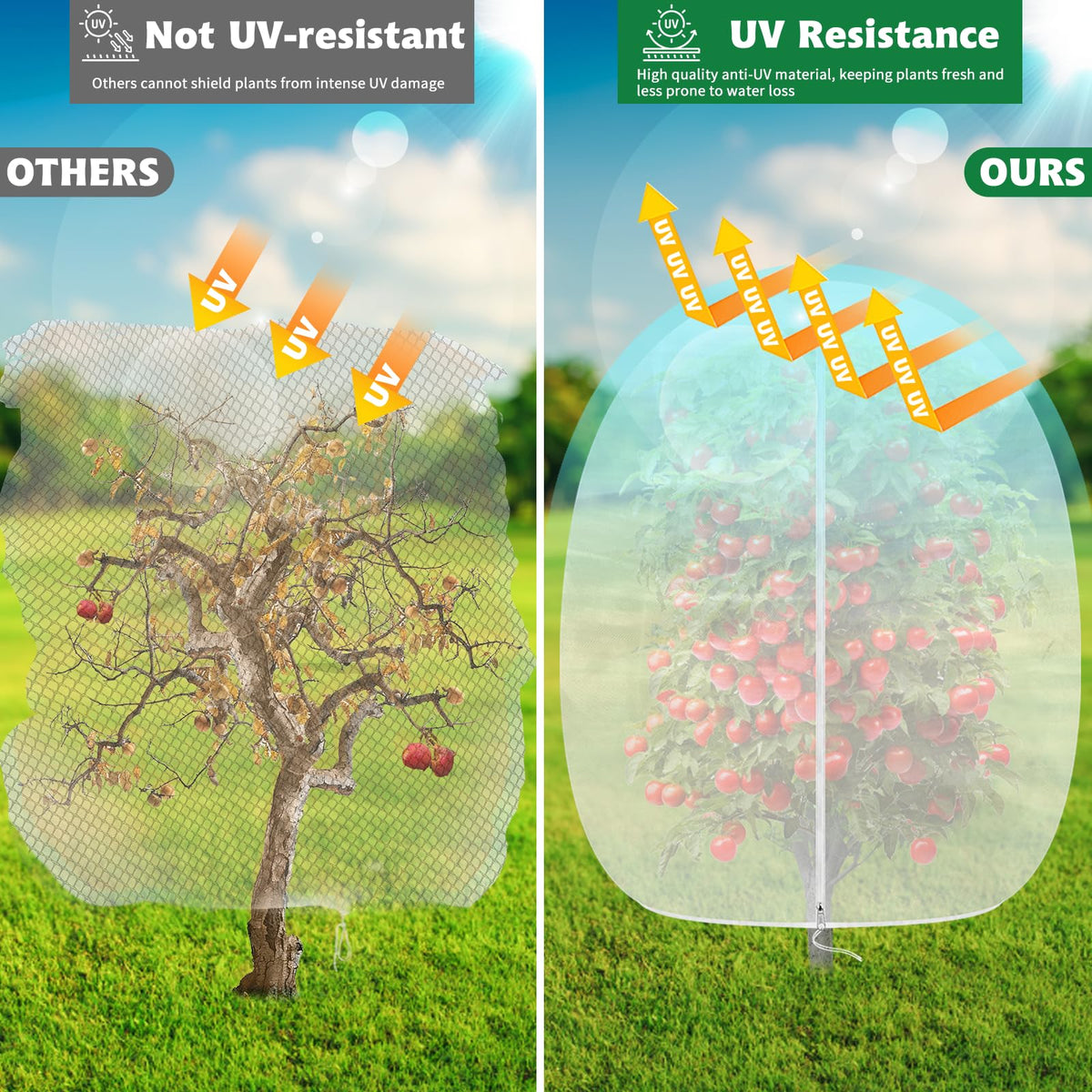 OZMI includes branded instruction manual for setup guidance