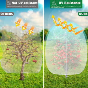 OZMI includes branded instruction manual for setup guidance