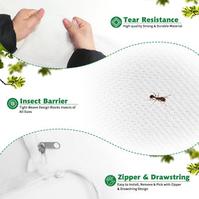 OZMI lightweight breathable mesh protects berry bushes without blocking sunlight.