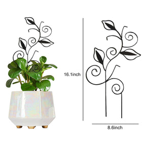 Paalee leaf-shaped trellis in pot, ideal for guiding pothos and ivy upward.