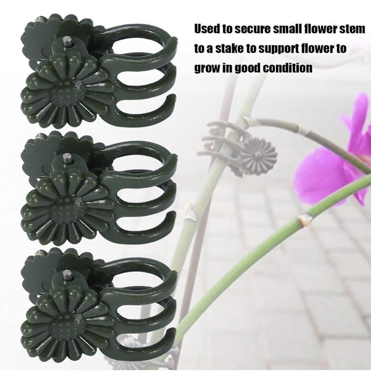 Paalee metal trellis with rust-resistant finish supports year-round indoor/outdoor use.
