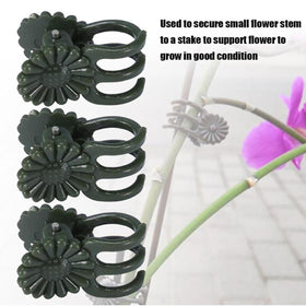 Paalee metal trellis with rust-resistant finish supports year-round indoor/outdoor use.