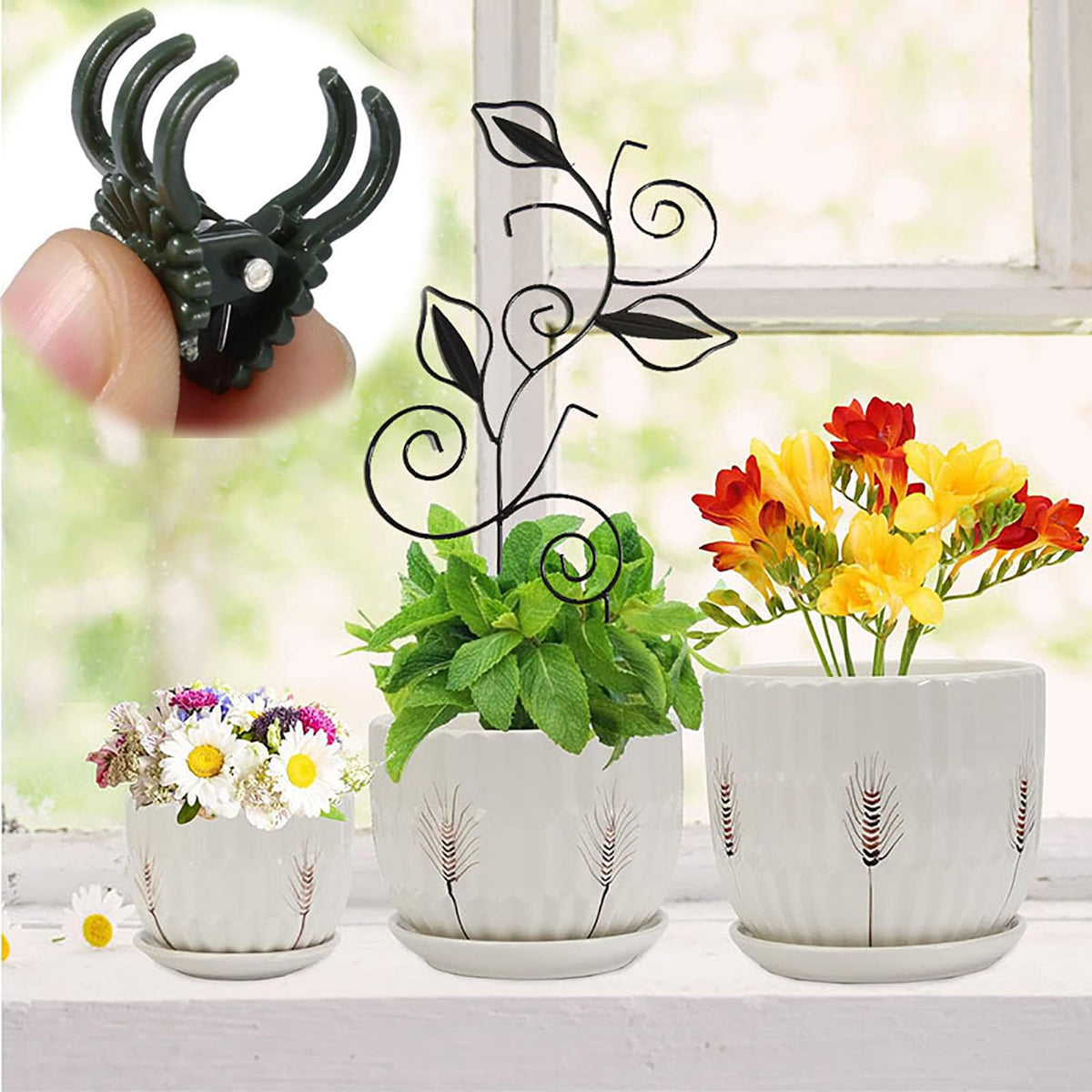 Paalee plant clips six-pack secures stems without damage, keeping vines neat.