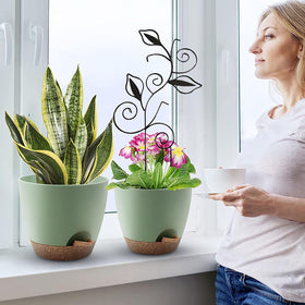 Perfect for indoor gardens or balcony planters, adding modern botanical charm.