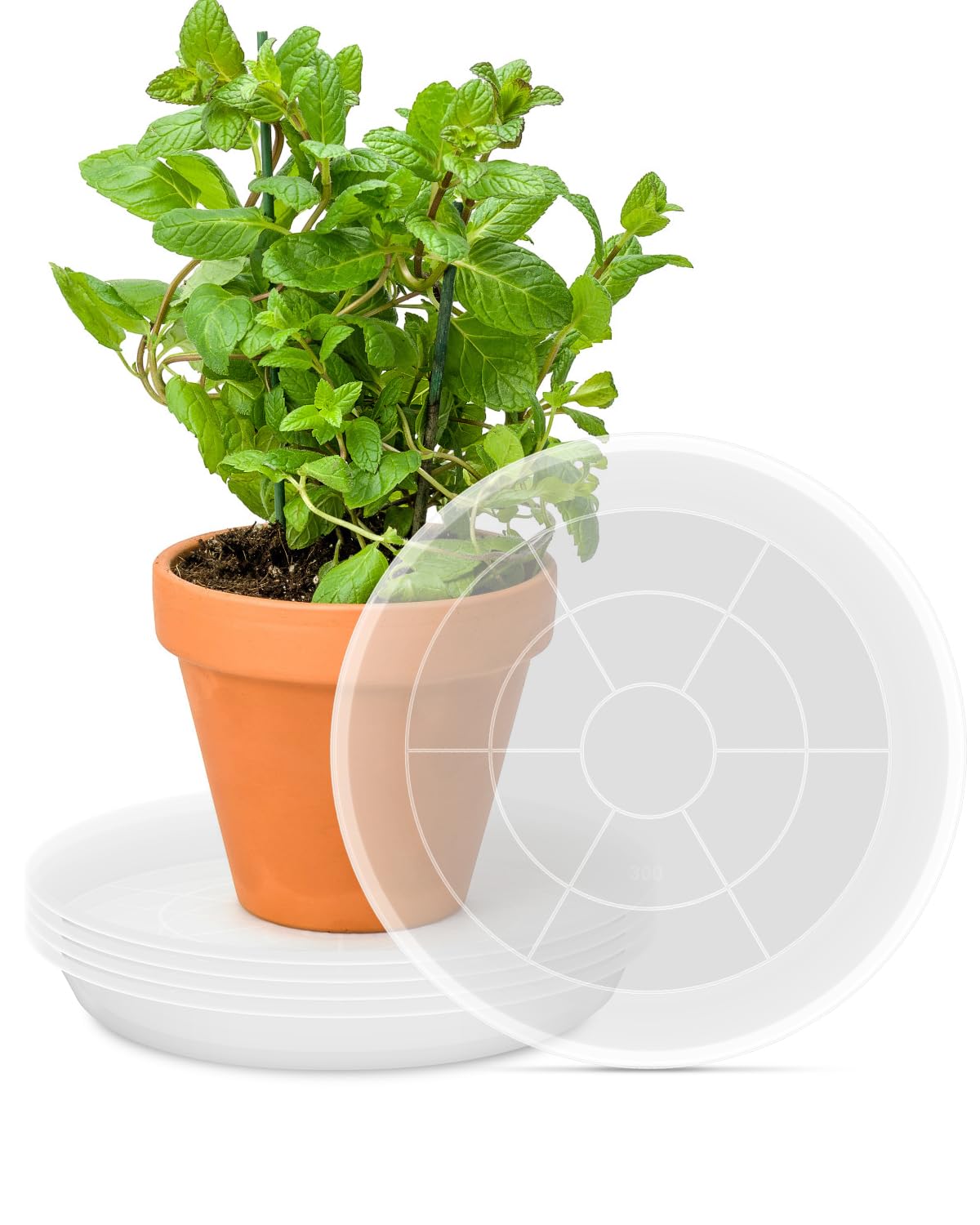 PACETAP plant saucer 12-inch transparent tray protects surfaces by catching excess water