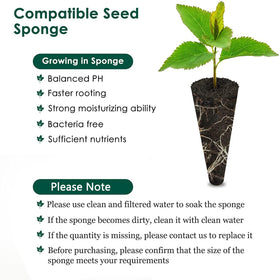 PACETAP seed insertion hole keeps seeds secure in sponge