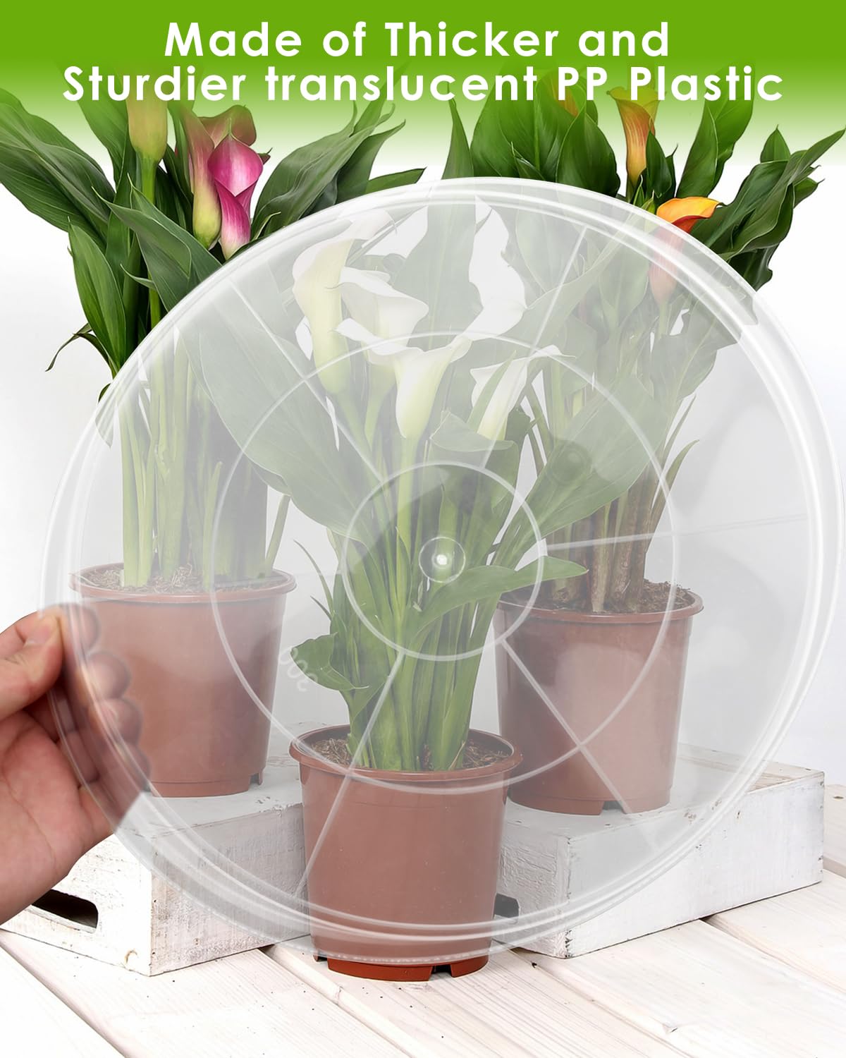 PACETAP transparent tray enables easy water level observation for plants
