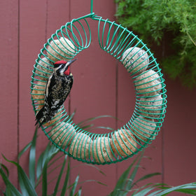Pacific Bird suet ball USA-made packaging protects from crumbling.