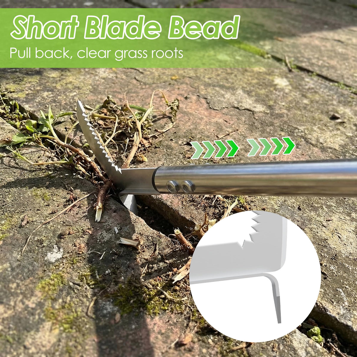 PadPure crack weeder tool in action pulling deep roots from cracks.