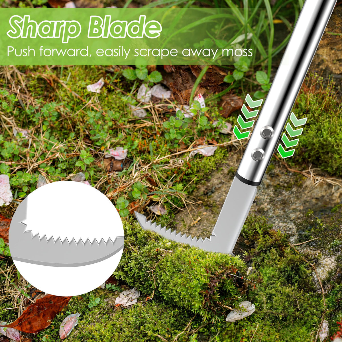 PadPure moss scraper clears wall joints and pavers effectively.