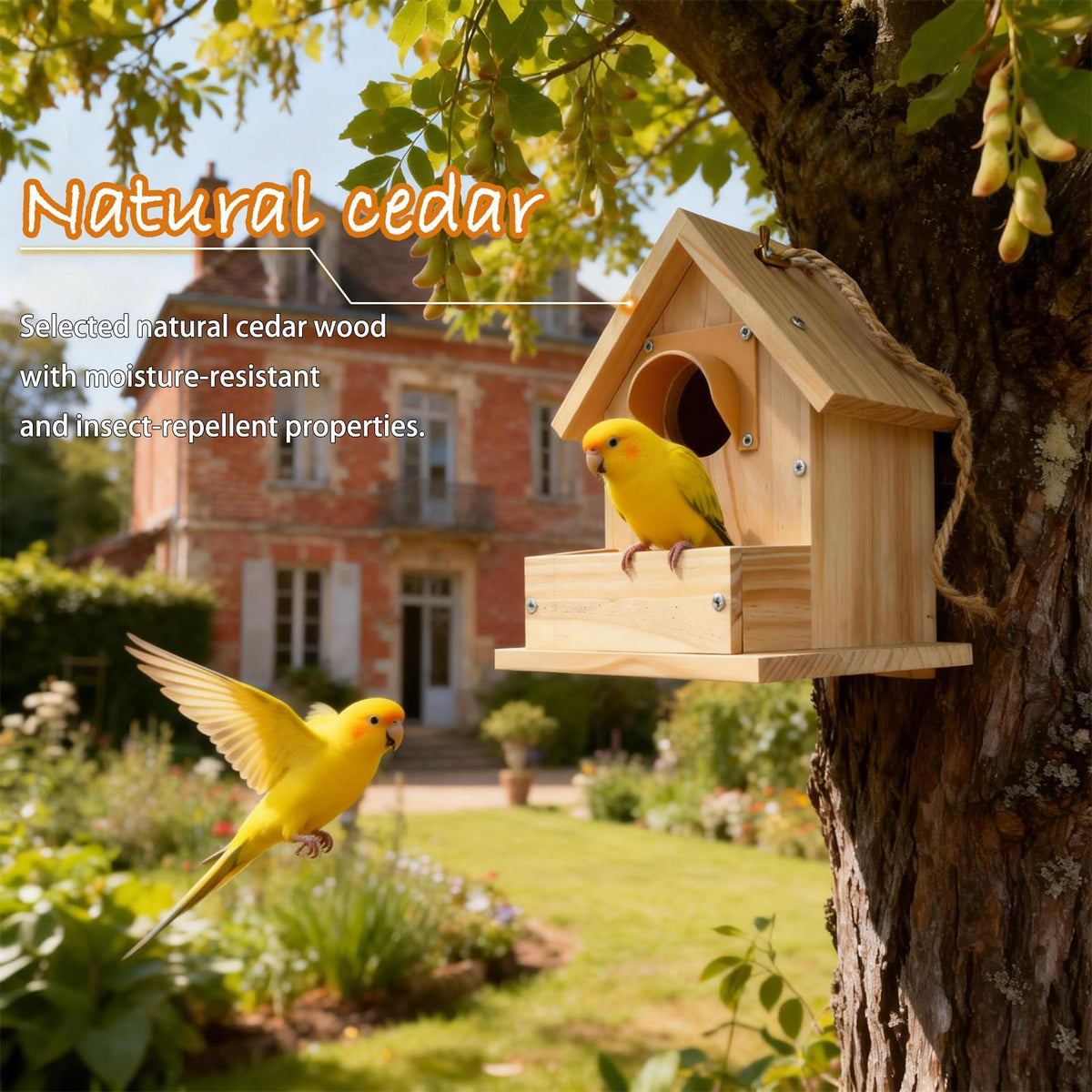 Paiaojia circular windows provide airflow and predator deterrence
