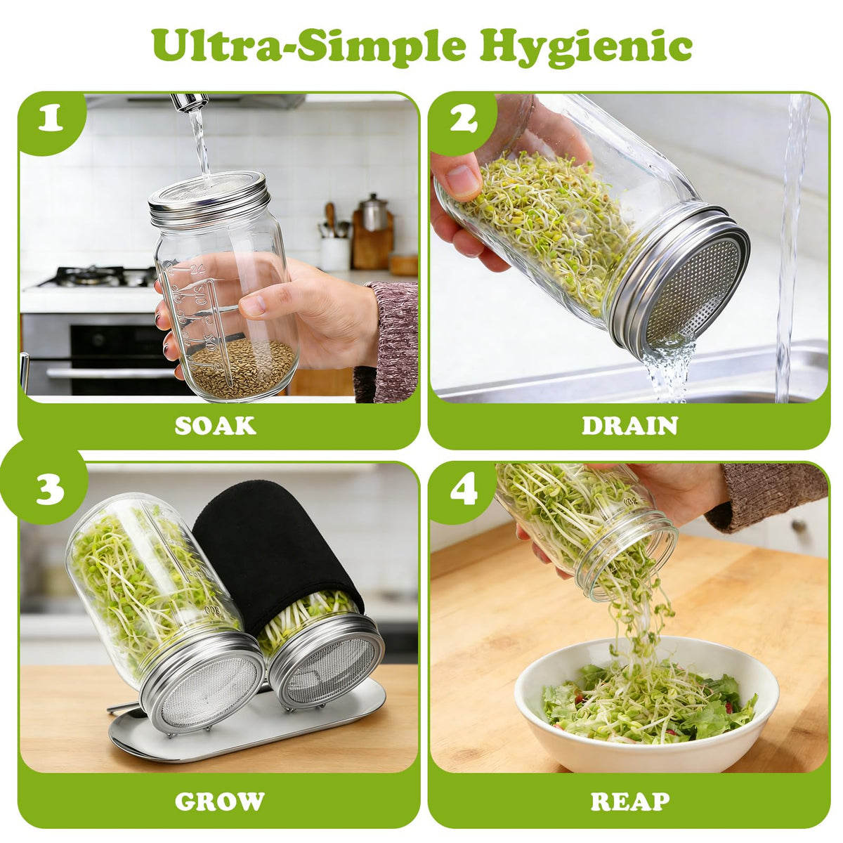 Palksky kitchen-friendly sprouting system on a counter