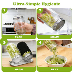 Palksky kitchen-friendly sprouting system on a counter