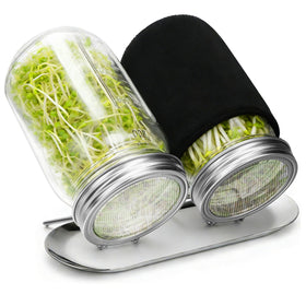 Palksky sprouting kit with glass jar and lid for fresh home sprouts