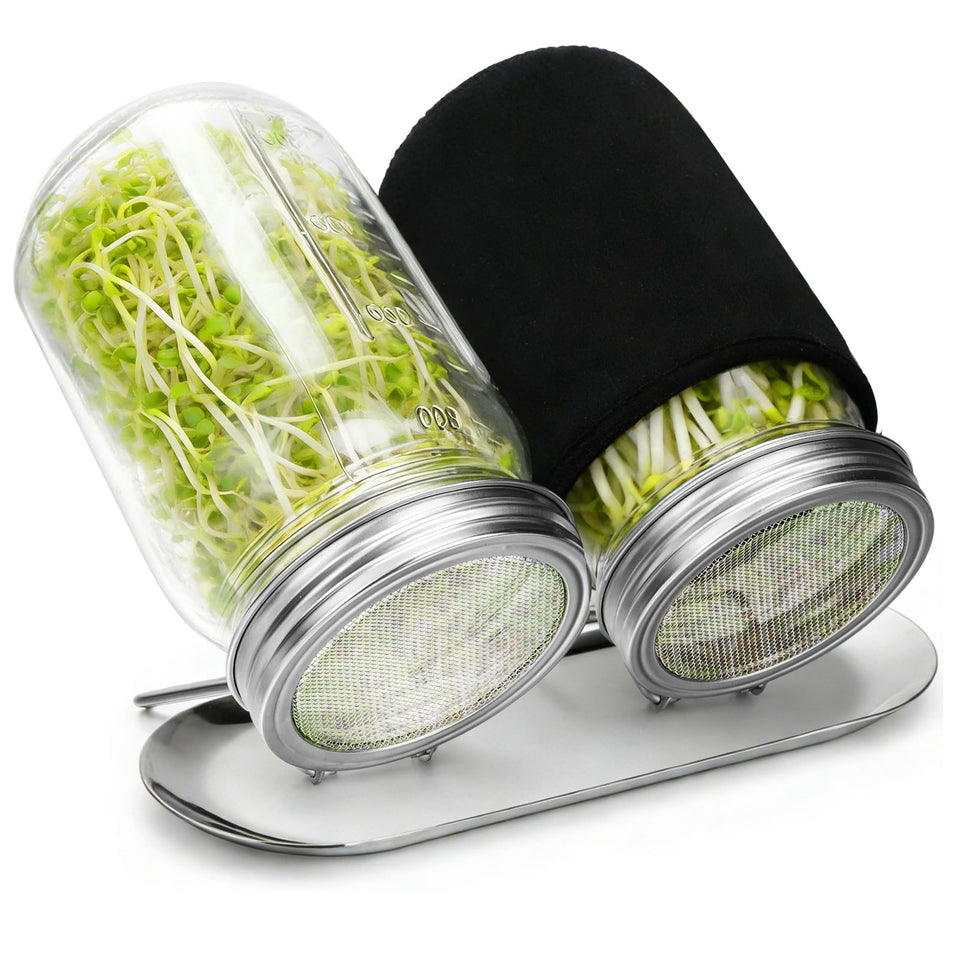 Palksky sprouting kit with glass jar and lid for fresh home sprouts