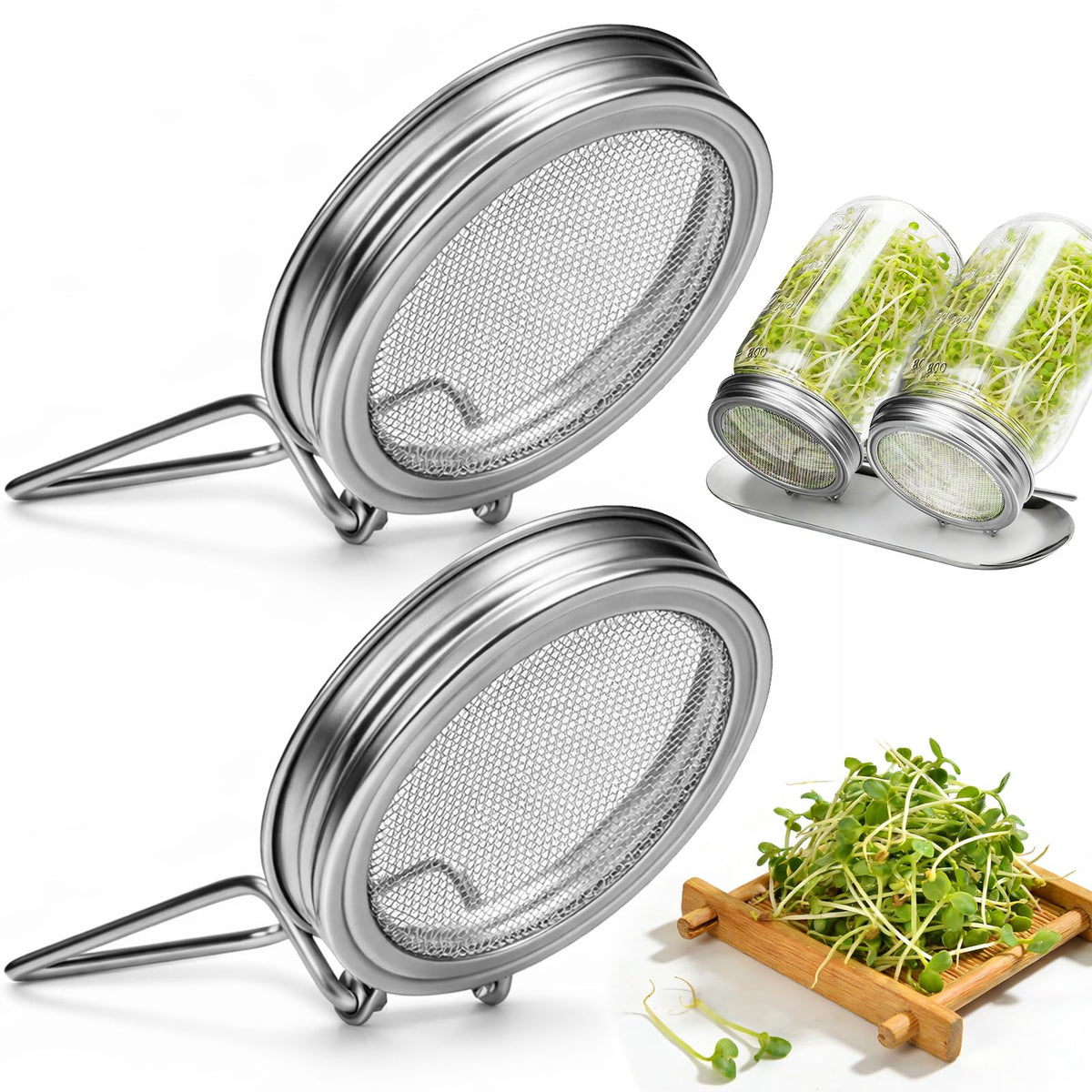 Palksky sprouting lid on a wide-mouth jar for clean, efficient sprouts.