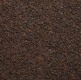 Palm Beach Medicinal Herbs belladonna seeds with growing instructions help germination.