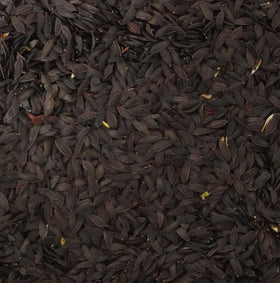 Palm Beach Medicinal Herbs Lactuca virosa seeds in envelope support germination