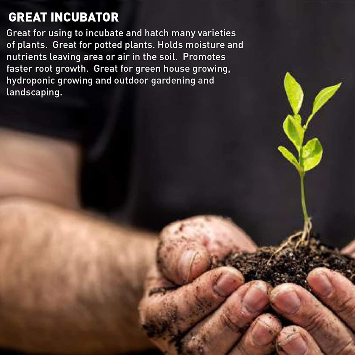Seed starting with Palmetto vermiculite coarse A-3 promotes even moisture.