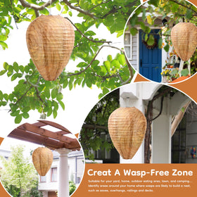 Palonu nest on terrace highlights outdoor decor and deterrence.