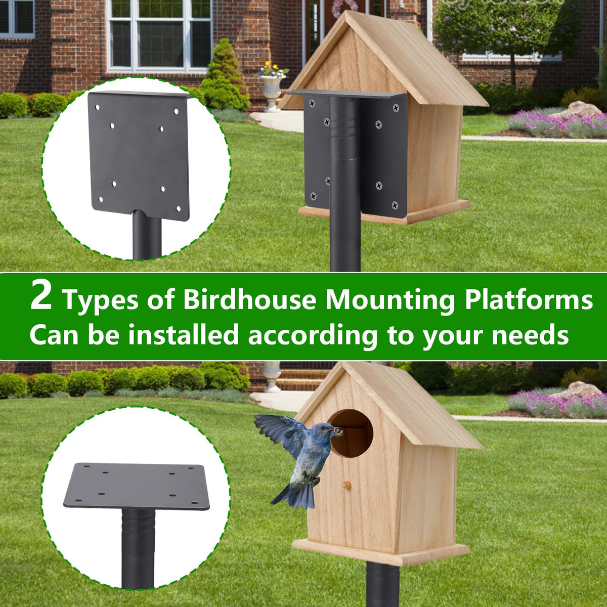 PAMASE pole with two bird feeder platforms for versatile mounting options.
