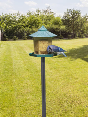 PAMASE stable stand with perched birdhouse ready for visitors.