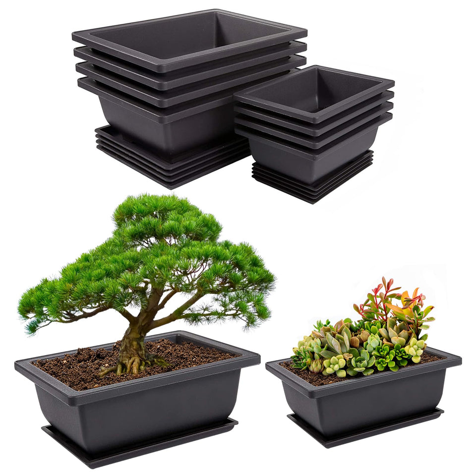 PAMASE 6.5-inch bonsai training pot with humidity tray for starter trees.