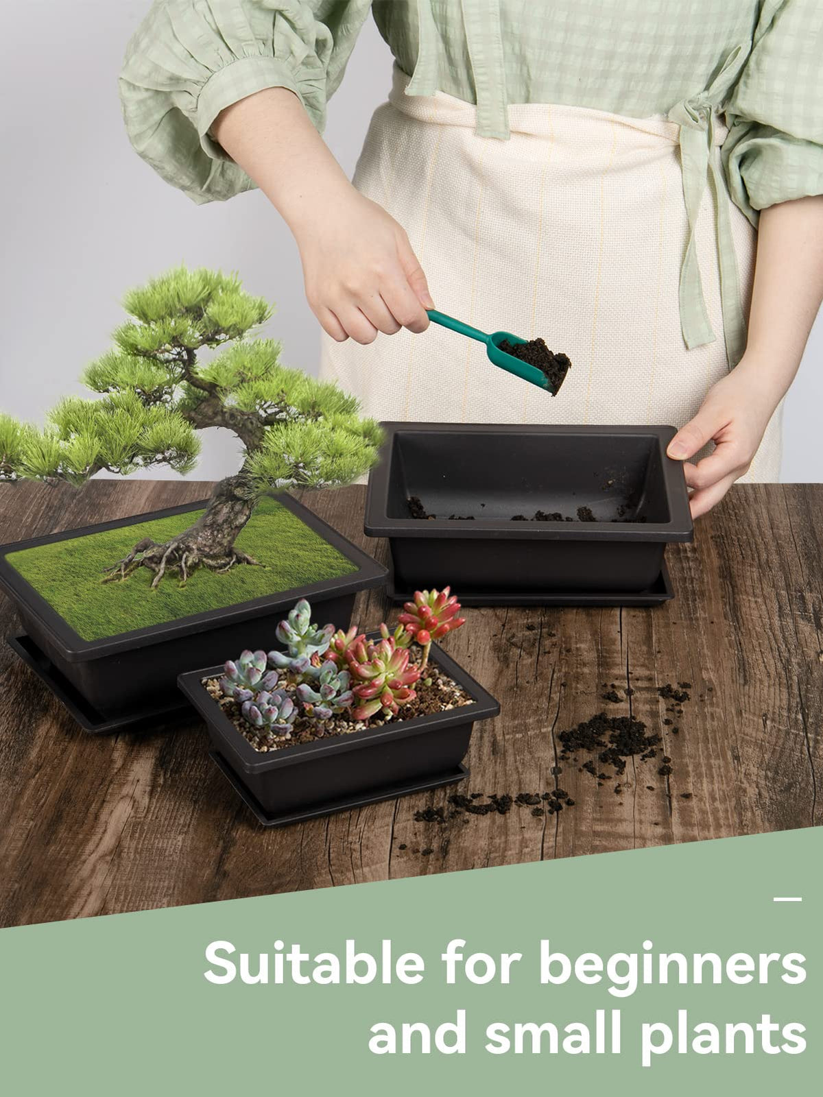 PAMASE 9-inch bonsai pot for small to medium trees with drainage.