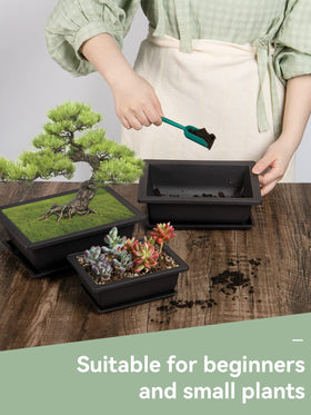 PAMASE 9-inch bonsai pot for small to medium trees with drainage.