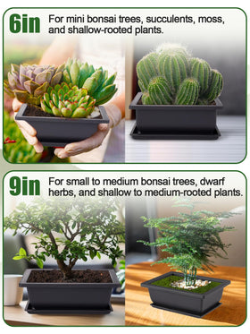 PAMASE bonsai pot with drainage holes promotes root airflow.