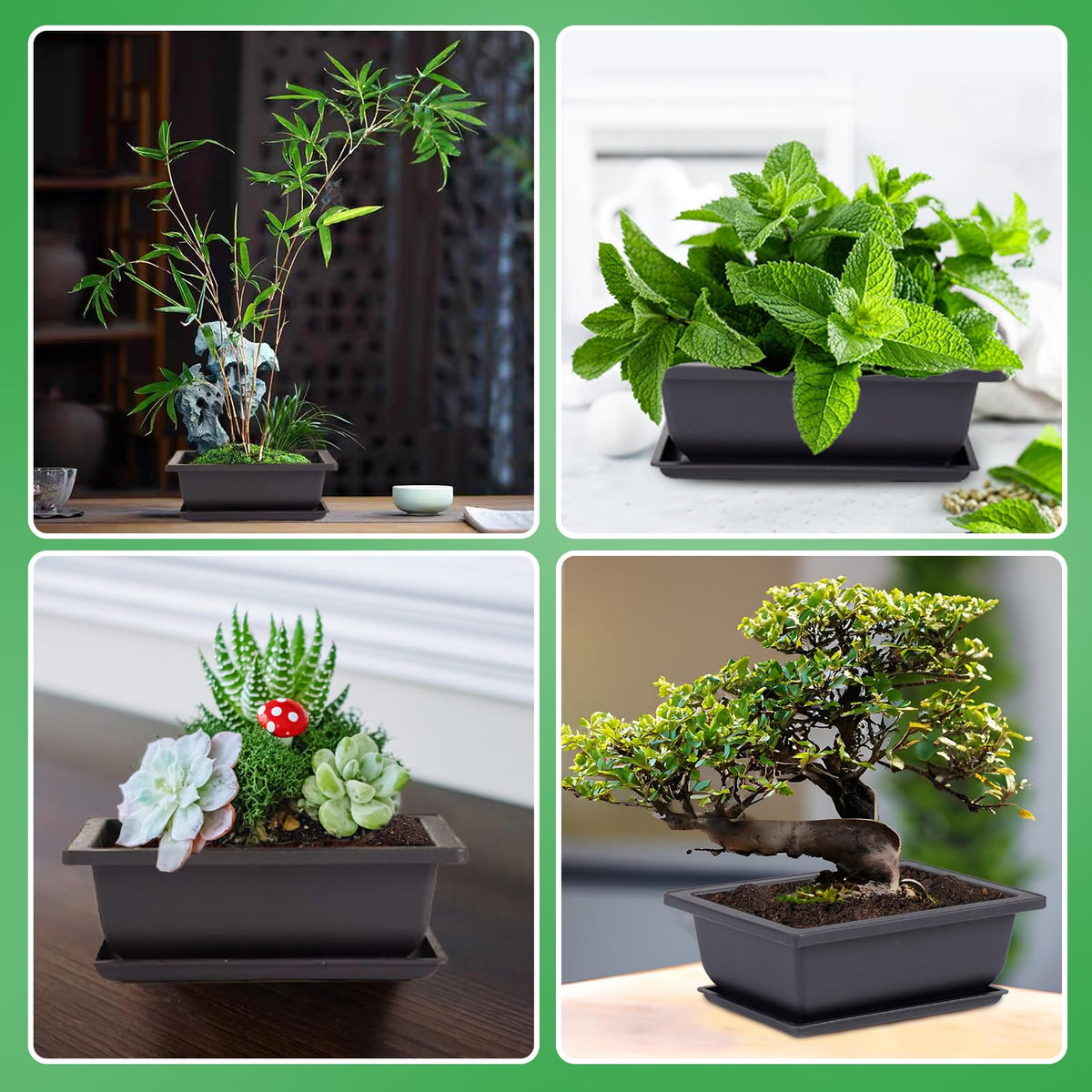 PAMASE indoor bonsai decor on windowsill with versatile placement.
