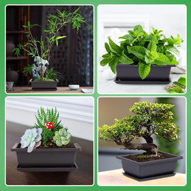 PAMASE indoor bonsai decor on windowsill with versatile placement.