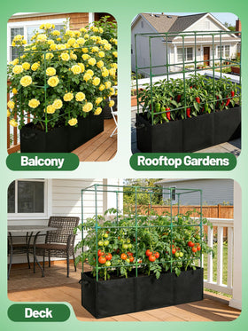 PAMASE open-square trellis simplifies pruning and training.