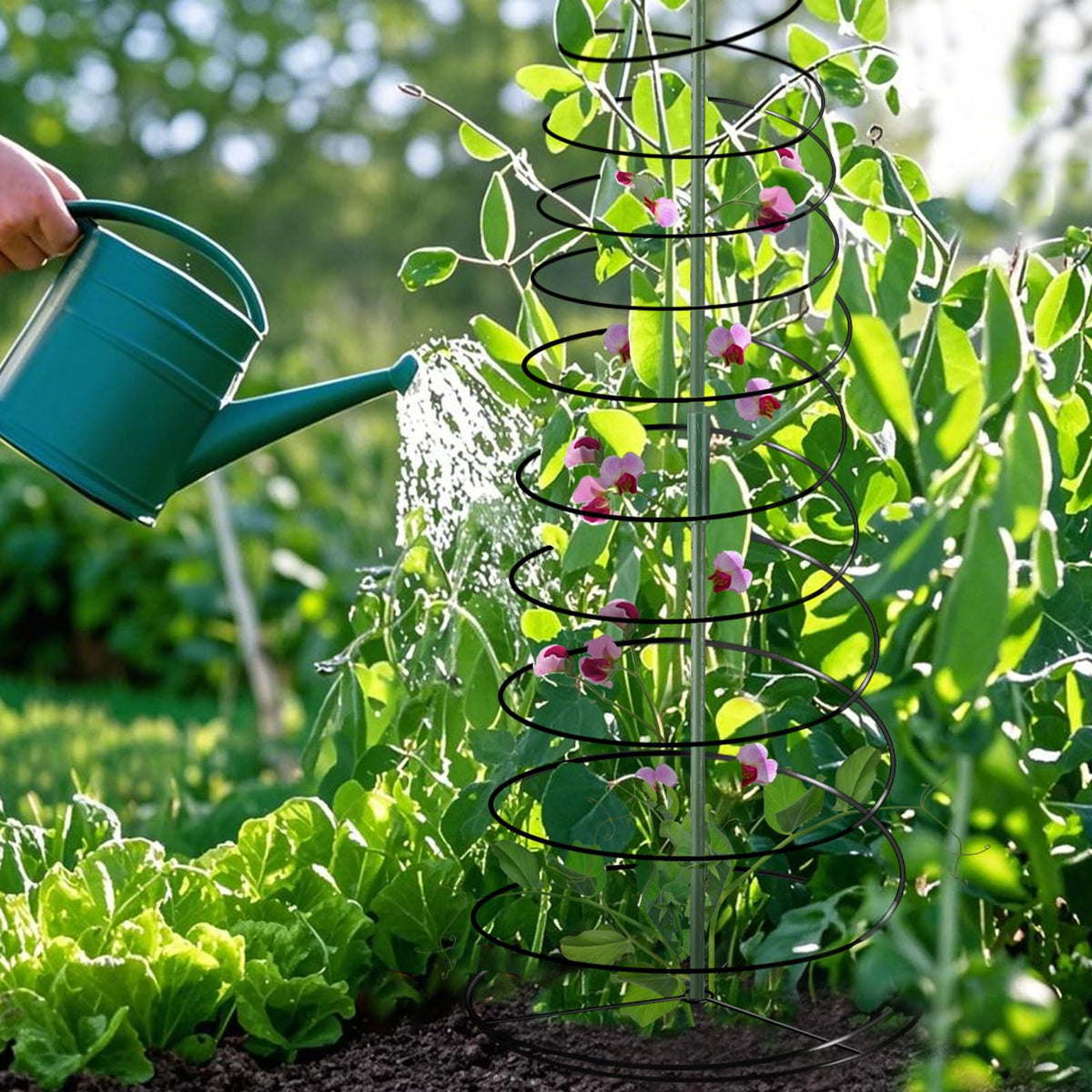 Outdoor PAMASE trellis supporting cucumber vines in a garden bed
