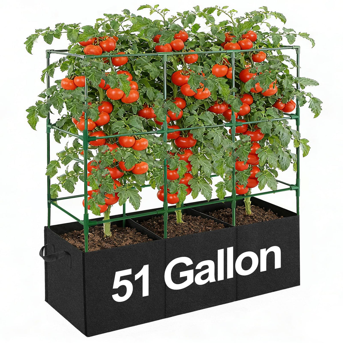 PAMASE tomato cage 3-compartment assembly for space-saving gardens.