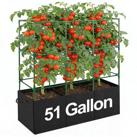 PAMASE tomato cage 3-compartment assembly for space-saving gardens.