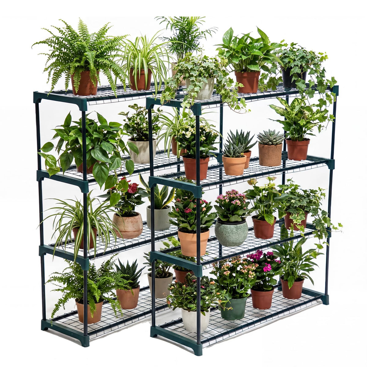 No-tools assembly moment with Panana rack