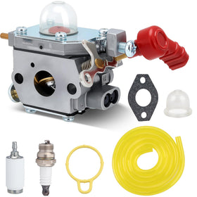 Panari carburetor kit out of box for quick installation