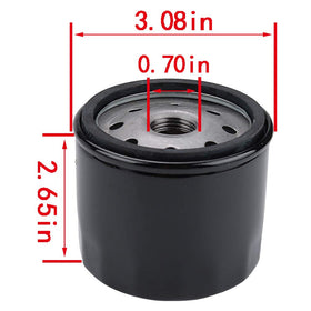 Panari Cub Cadet XT1 fuel filter demonstrates essential filtration for consistent performance.