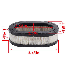 Panari Cub Cadet XT1 oil filter image highlights easy replacement for ongoing engine cleanliness.