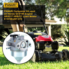 Panari GCV190 tune up kit for easy maintenance