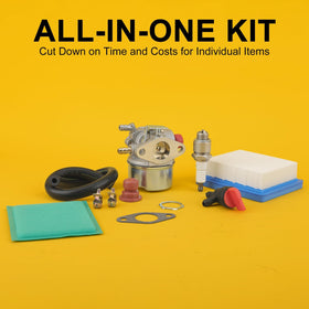 Panari kit replaces 640004 and 640025 for Tecumseh engines on mowers.