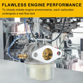Panari kit components arranged for clean, simple installation in Tecumseh engines.