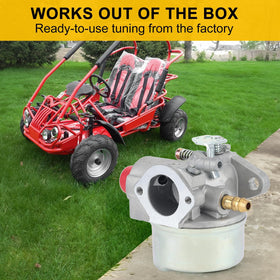 Out‑of‑the‑box ready Panari kit for quick Tecumseh engine installation.