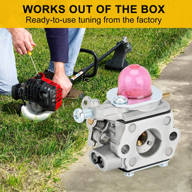 Panari WS2200 carburetor kit included with complete replacement parts.